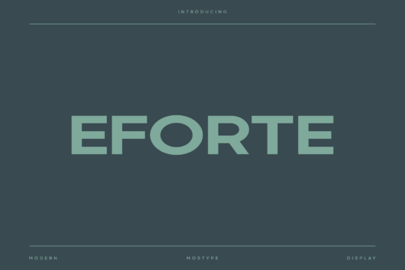 Eforte: A Versatile Sans Serif for Craft and Product Design