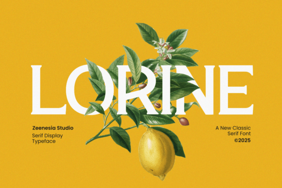 Elevate Your Editorial Design with Lorine, the Refined Serif Font